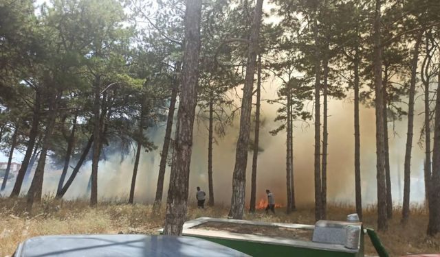 Kırklareli'nde hastane bahçesinde çıkan yangın söndürüldü