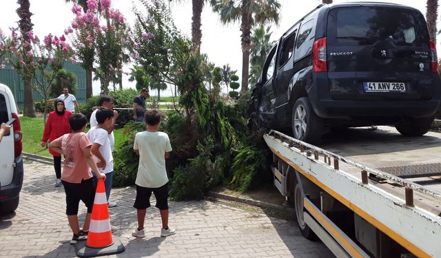 Kocaeli'de ağaca çarpan hafif ticari aracın sürücüsü yaralandı