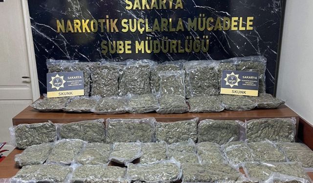 Sakarya'da 24,5 kilogram skunk ele geçirildi