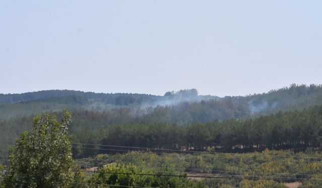 Tekirdağ'da çıkan orman yangını söndürüldü