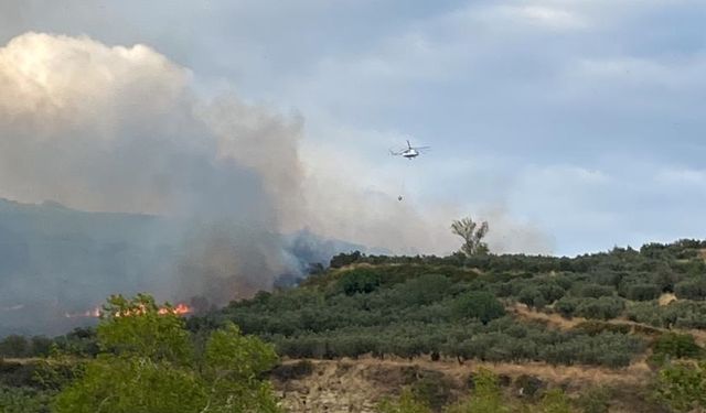 Tekirdağ'da makilik alanda çıkan yangın söndürüldü