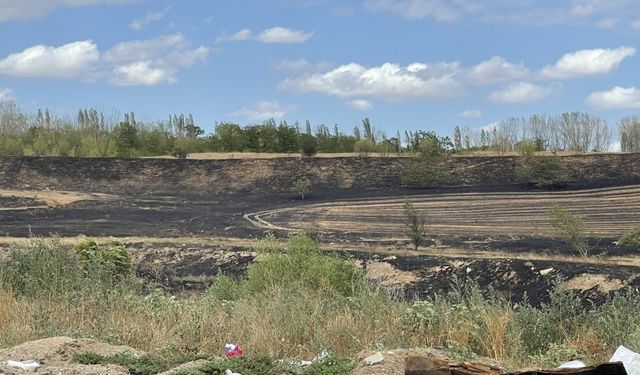 Tekirdağ'da ormanlık alanda çıkan yangın söndürüldü