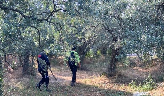 Yalova'da kaybolan öğretmen için arama çalışması başlatıldı