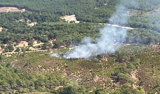 Balıkesir'de Kazdağları eteklerinde çıkan orman yangını söndürüldü