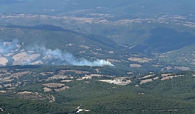 Balıkesir'deki orman yangını kontrol altına alındı