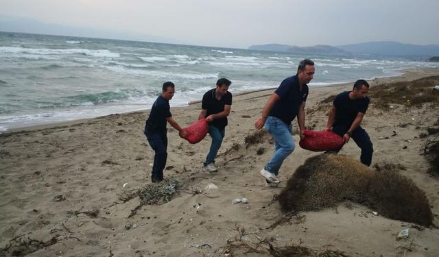 Bursa'da avlanması yasak 5,5 ton kum şırlanı ele geçirildi