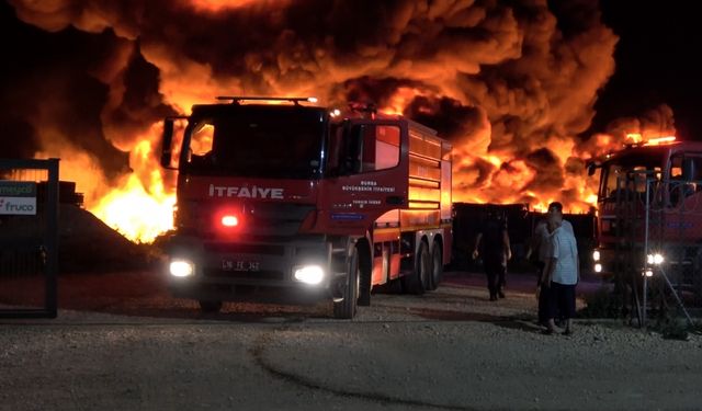 Bursa'da soğuk hava deposunda çıkan yangın söndürüldü