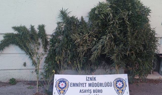 Bursa'daki uyuşturucu operasyonunda 2 zanlı yakalandı