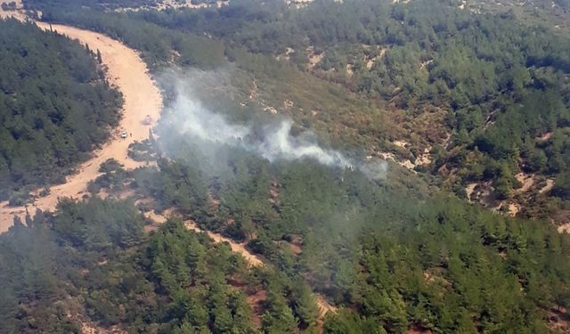 Çanakkale'de yıldırım düşmesi sonucu 6 noktada çıkan orman yangınlarından 5'i söndürüldü