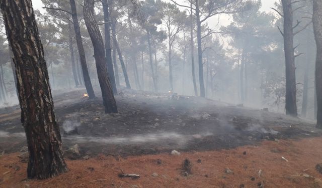 Çanakkale'de yıldırım düşmesi sonucu çıkan örtü yangını kontrol altına alındı