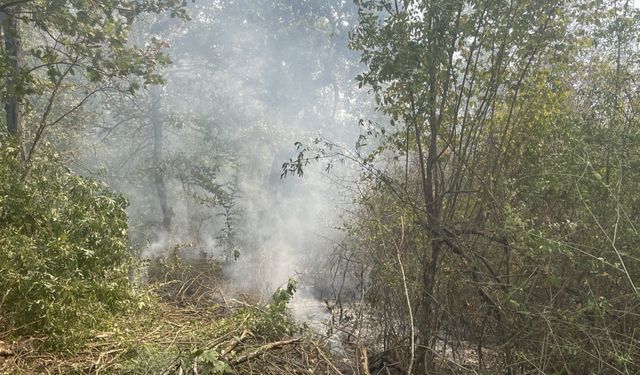 Edirne'de sınır hattında ormanlık alanda yangın çıktı