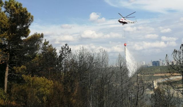 Sultangazi'de ormanlık alanda çıkan yangın kontrol altına alındı