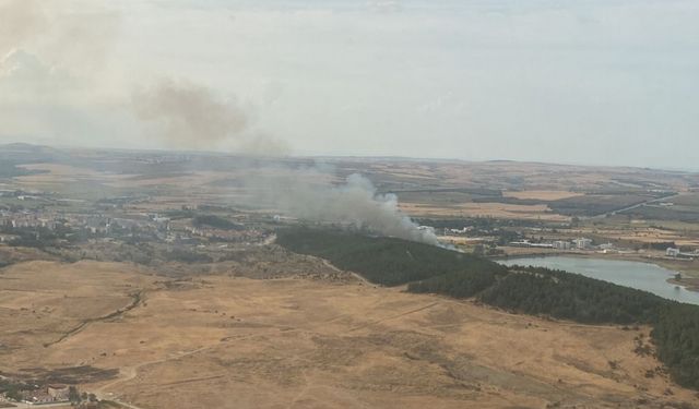 Edirne'de ormanlık alanda çıkan yangın söndürüldü