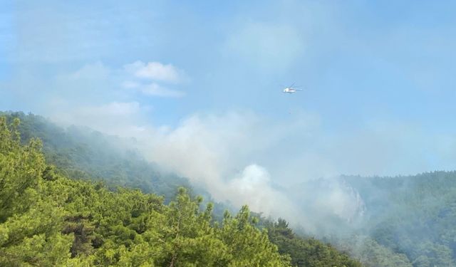 Kazdağları'ndaki orman yangını kontrol altına alındı