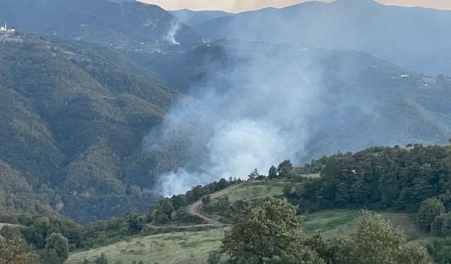 Kocaeli'de çıkan orman yangını söndürüldü