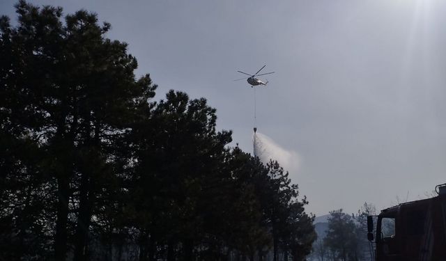 Kocaeli'de ormanlık alanda çıkan yangın kontrol altına alındı