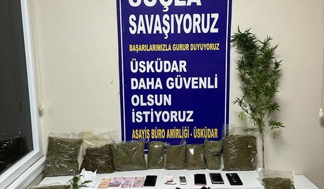 İstanbul'da evindeki saksılarda Hint keneviri yetiştiren şüpheli tutuklandı