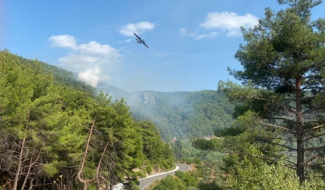 Kazdağları'nda orman yangını çıktı