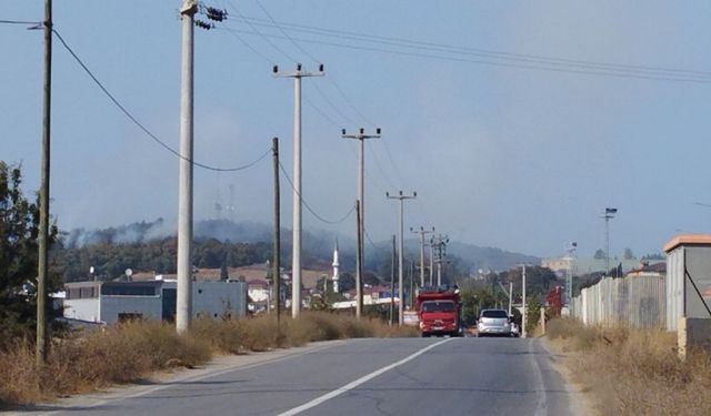 Kocaeli'de ormanlık alanda yangın çıktı