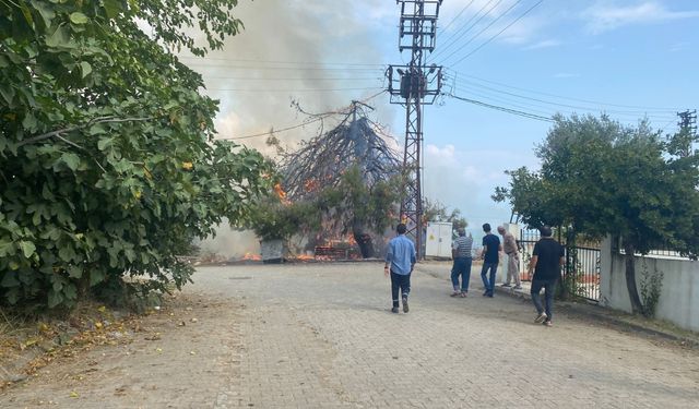 Orhangazi'de trafo patlaması nedeniyle ağaç ve otluk alanda yangın çıktı