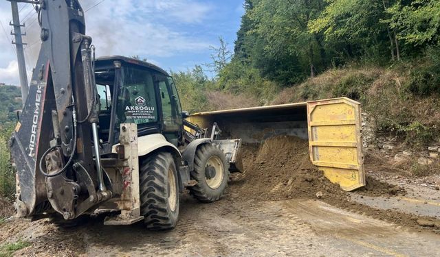 Sakarya'da freni boşalan kamyonun devrilmesi sonucu 1 kişi yaralandı