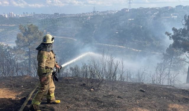 Sultangazi'de ormanlık alanda yangın çıktı