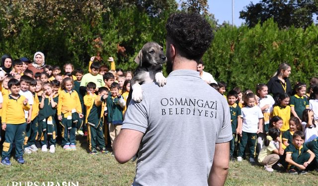 Hayvan barınağını ziyaret eden çocuklar keyifli vakit geçirdi