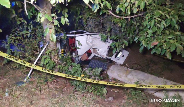 Orhangazi'de bir araç domuza ve ağaca çarptı: 2 ölü
