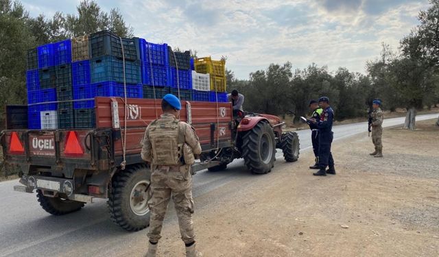 Balıkesir'de zeytin çalarken yakalanan 2 şüpheli tutuklandı