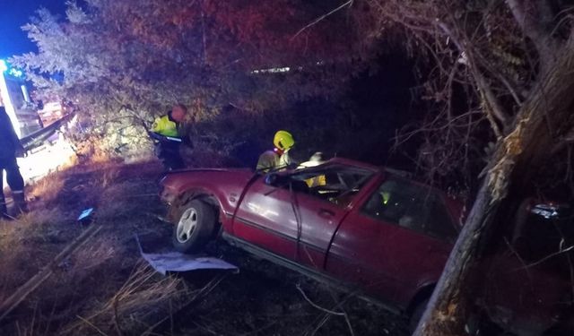 Bandırma'da bariyerlere çarparak ağaçlık alana giren otomobildeki 2 kişi yaralandı