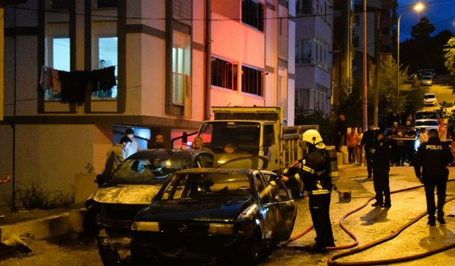 Bilecik'te yanan iki otomobil kullanılmaz hale geldi