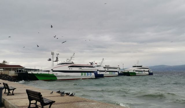 Bursa-İstanbul deniz otobüsü seferlerinden bazıları iptal edildi