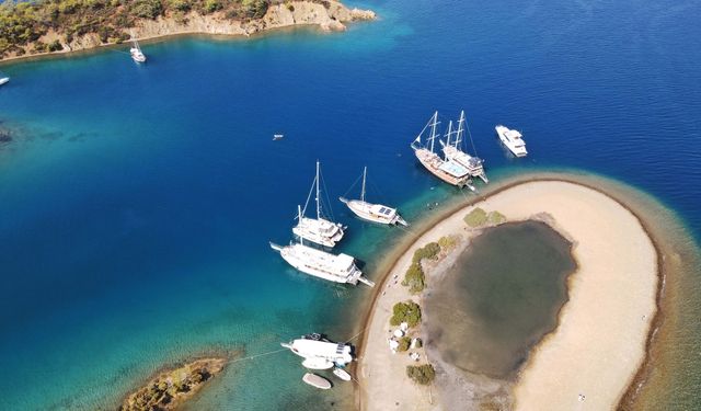 Çocuklar Akdeniz foklarının önemini farkındalık projesiyle öğrenecek