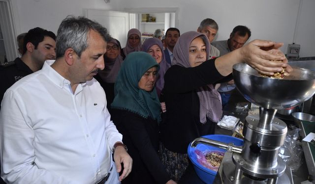 Edirne Valisi Sezer, fıstık hasadına katıldı