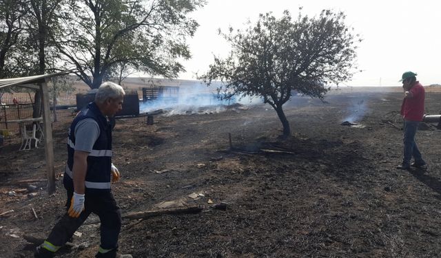 Edirne'de anız yangınında 500 dönüm tarım arazisi ve 3 ahır zarar gördü