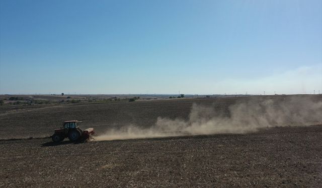 Edirne'de çiftçiler buğday tohumlarını bu yıl da kuru toprağa ekiyor