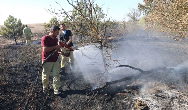 Edirne'de otoyol kenarındaki ağaçlık alanda çıkan yangın söndürüldü