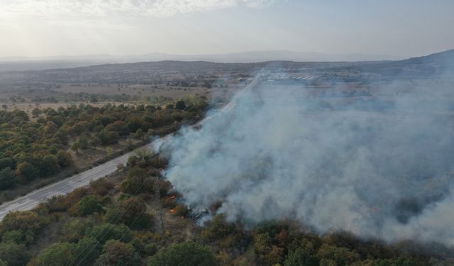 Edirne'de sınır kapısı yolu kenarında başlayıp ağaçlık alana sıçrayan yangın söndürüldü