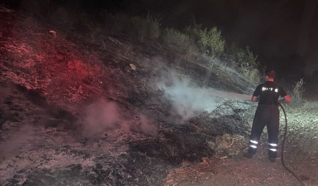 Edirne'de tren yolu kenarındaki otluk alanda çıkan yangın söndürüldü