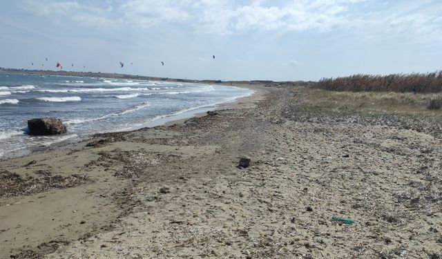 Gökçeada'da caretta caretta yuvasında yavrular bulundu