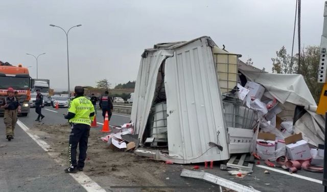 İstanbul TEM Otoyolu'nda tıra çarpan kamyon yola devrildi