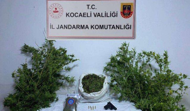 Kocaeli'de 4 kilo 88 gram skunk ele geçirildi