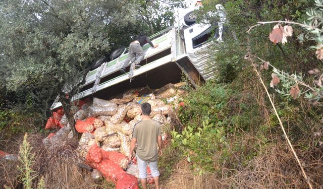 Kocaeli'de şarampole devrilen kamyonun sürücüsü yaralandı