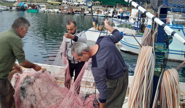 Lüfer bolluğu Gelibolulu balıkçıları sevindirdi