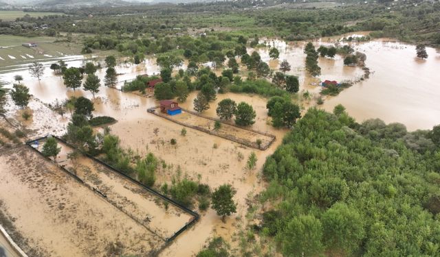 Şile'de sağanağın etkisiyle taşan dere hayatı olumsuz etkiledi