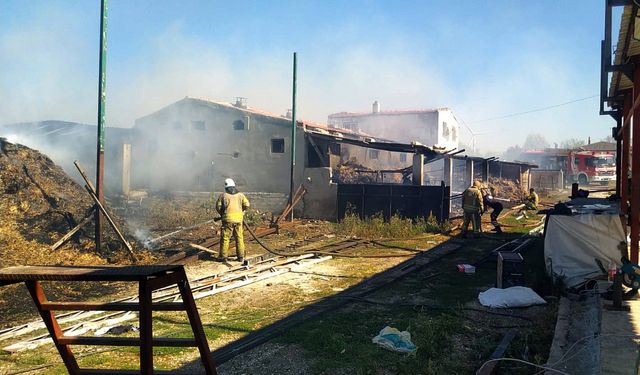 Silivri'de bir çiftlikte çıkan yangın söndürüldü