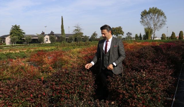 Yalova'da dış mekan süs bitkilerine ölçülebilir kalite standardı getirecek proje geliştirildi