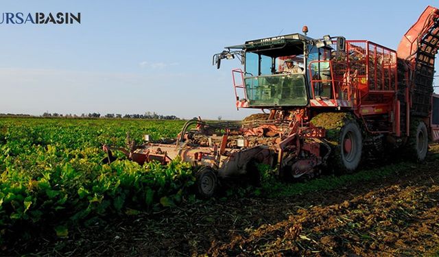 Yozgat'ta Şeker Pancarı Hasadı Başladı: Tarladan Fabrikalara Taşınıyor