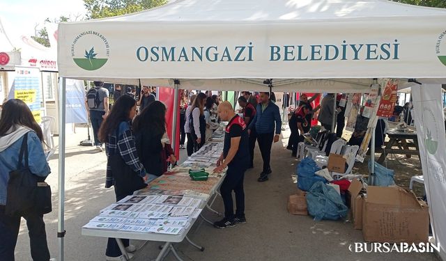 Osmangazi Belediyesi hem çevreyi korudu, hem de ekonomiye büyük katkı sağladı