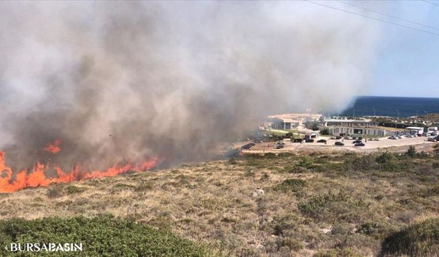 İzmir Bayındır'da Orman Yangını